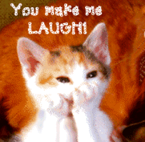 1196239owif4uqflk.gif