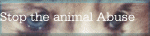 myspace layouts, myspace codes, glitter graphics