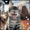 myspace layouts, myspace codes, glitter graphics