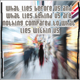 [linked image]