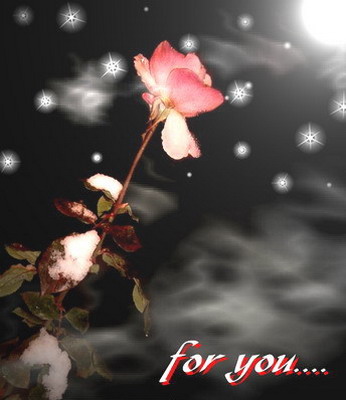 myspace layouts, myspace codes, glitter graphics