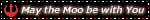 myspace layouts, myspace codes, glitter graphics