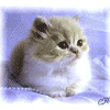 http://dl9.glitter-graphics.net/pub/377/377519u8y5t02puv.gif