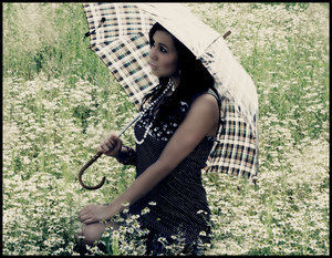 ���� ���� ������ �� ���� ������